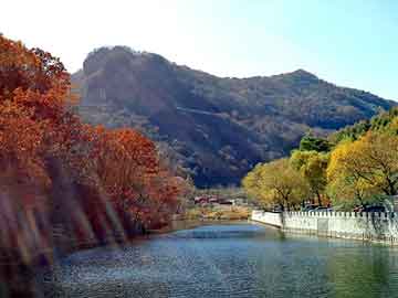 管家婆黑白马报图库，松江电脑培训